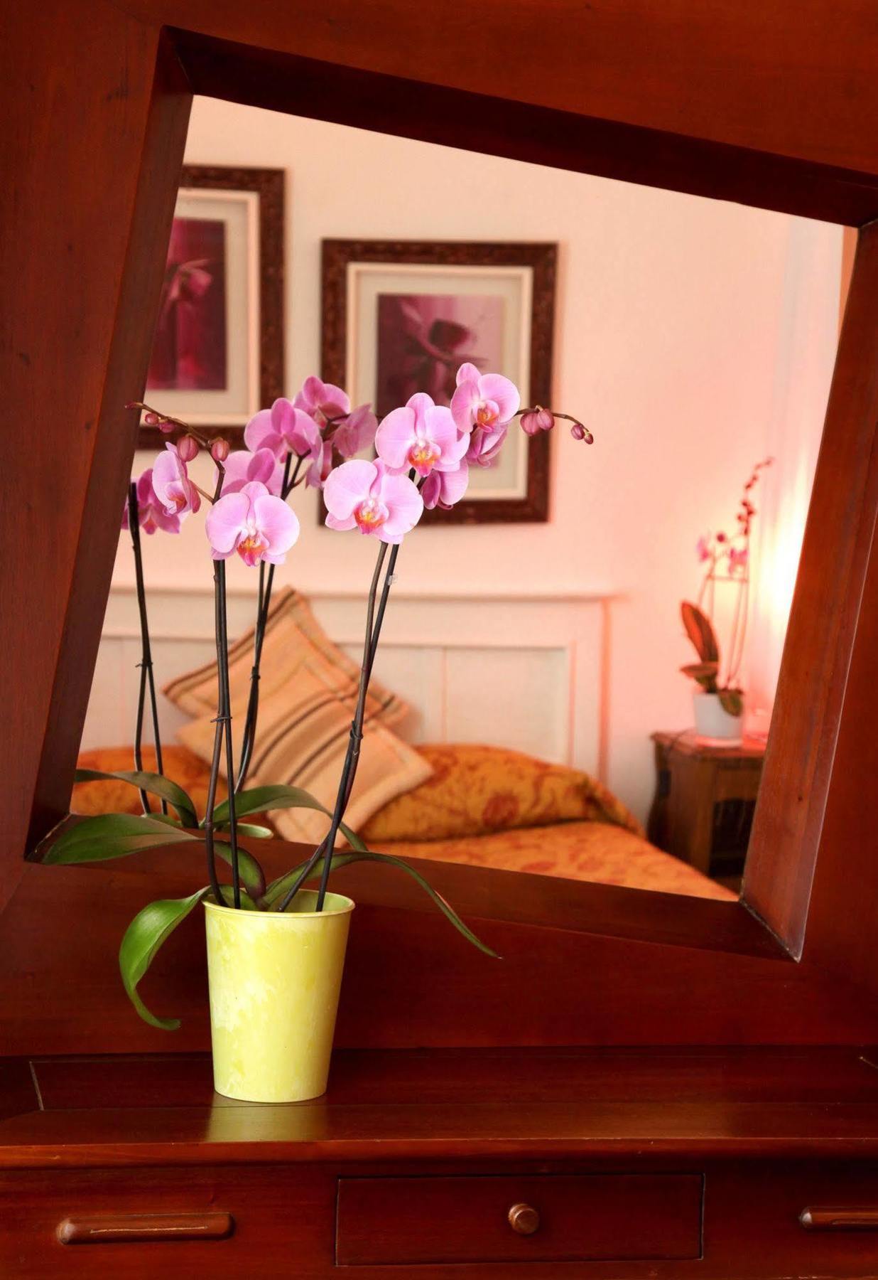 Castel De Siam Hotel Houlgate Ngoại thất bức ảnh